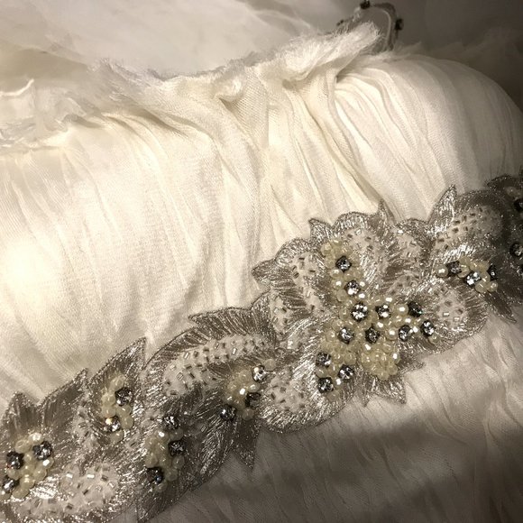 Pronovias Manuel Moto Wedding Dress - Picture 3 of 7